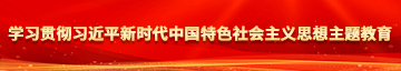 免费看舔操学习贯彻习近平新时代中国特色社会主义思想主题教育